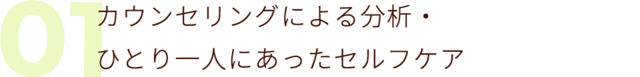 01 カウンセリングによる分析 豊富な知識から導かれる解消の手口